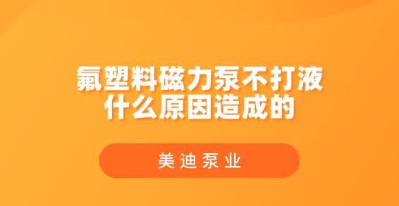 氟塑料磁力泵不打液什么原因造成的.jpg